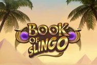Book Of Slingo